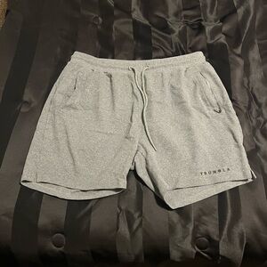 YoungLA Athletic Gray Men's Shorts
